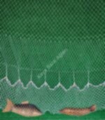 Dere Akarsu Serpme Ağı