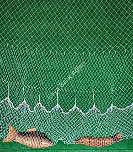 Dere Akarsu Serpme Ağı