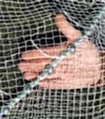 Dere Akarsu Serpme Ağı