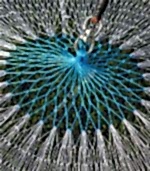 Dere Akarsu Serpme Ağı