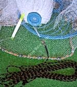 Gümüş Serpmesi Çemberli Amerikan