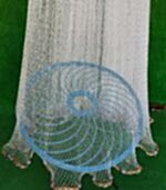 Gümüş Serpmesi Çemberli Amerikan