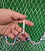 İp Örgü Deniz Serpme Ağ