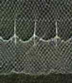 Misina Torba İp Serpme Ağ 5 Kg