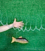 Zincirli Misina Serpme 5 Kg