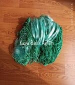 Germe Ağ - 36 mm - Misina - Fanyalı - 20 Metre